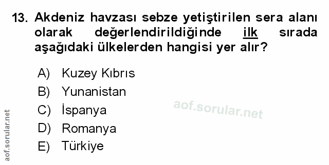 Soru 13