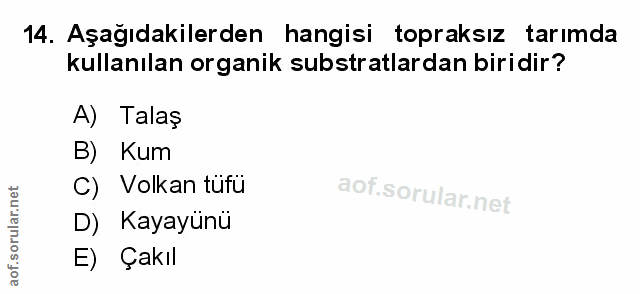 Soru 14
