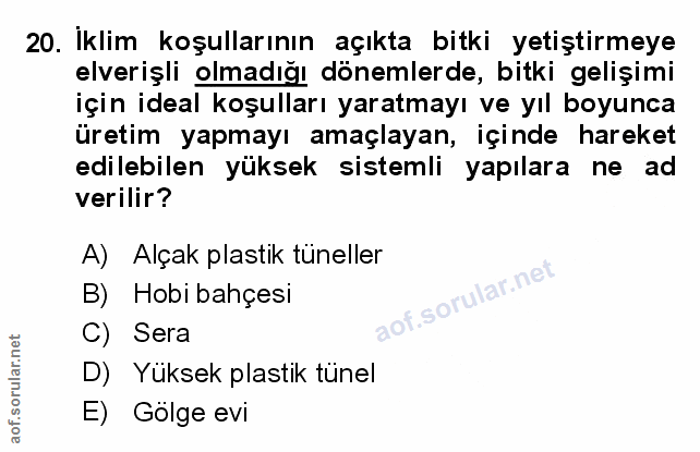 Soru 20