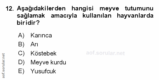 Soru 12
