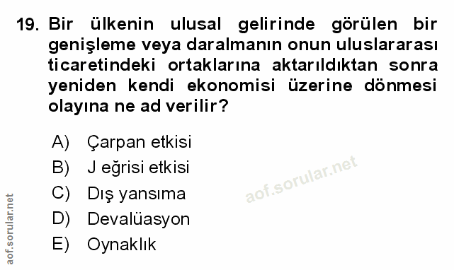 Soru 19