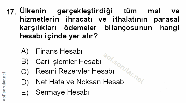 Soru 17