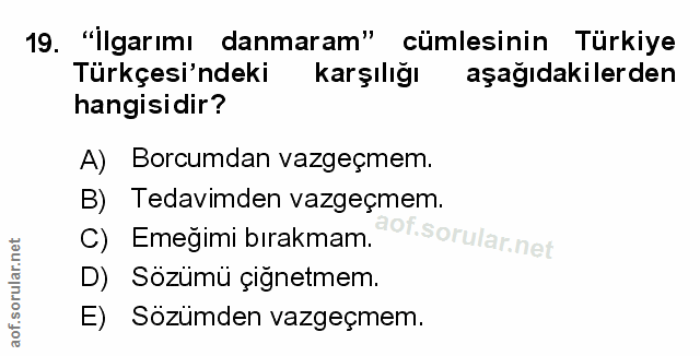 Soru 19