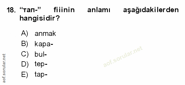 Soru 18
