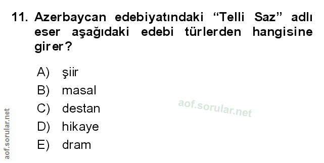 Soru 11