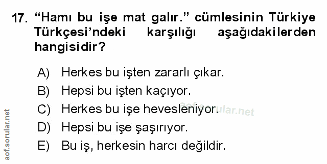 Soru 17