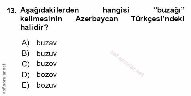 Soru 13