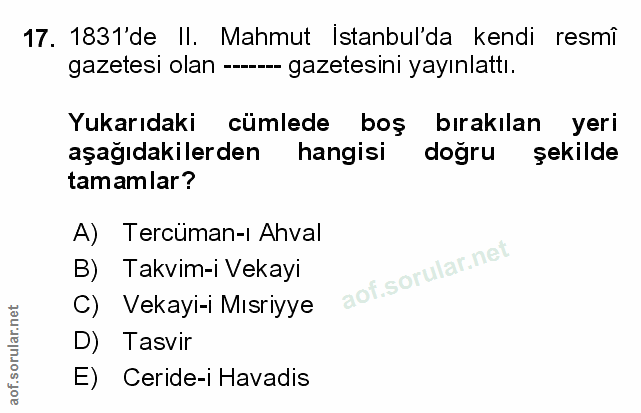 Soru 17
