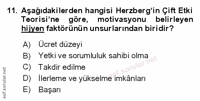 Soru 11