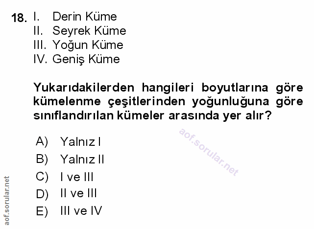 Soru 18