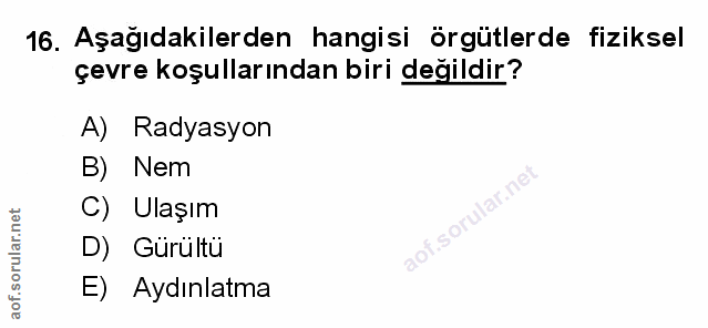 Soru 16