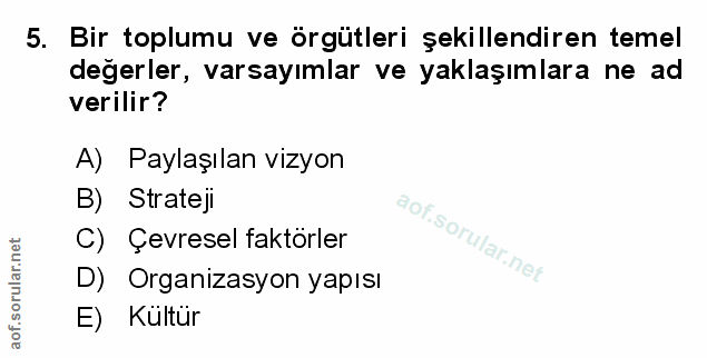 Soru 5
