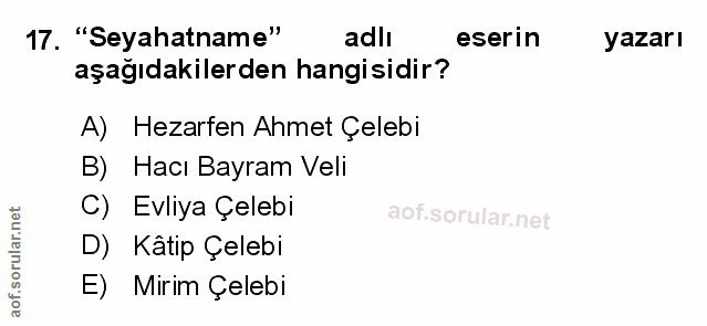 Soru 17