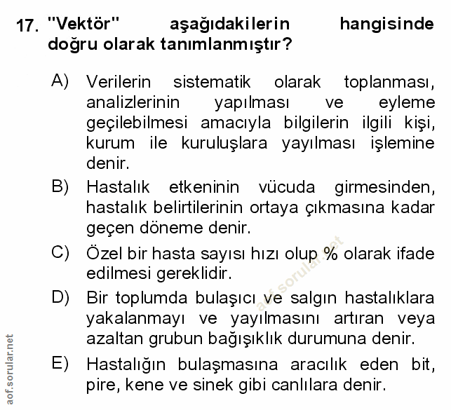 Soru 17