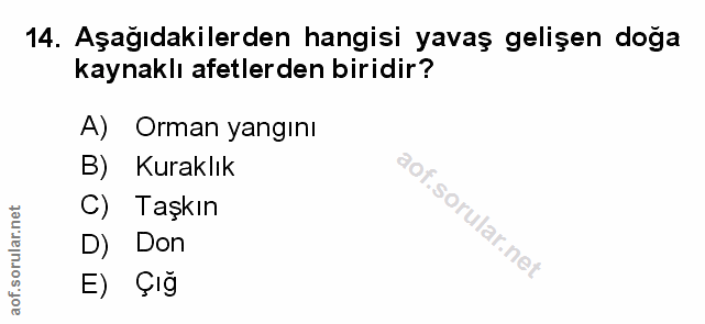 Soru 14