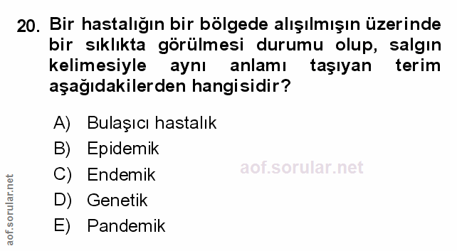 Soru 20