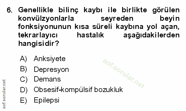 Soru 6