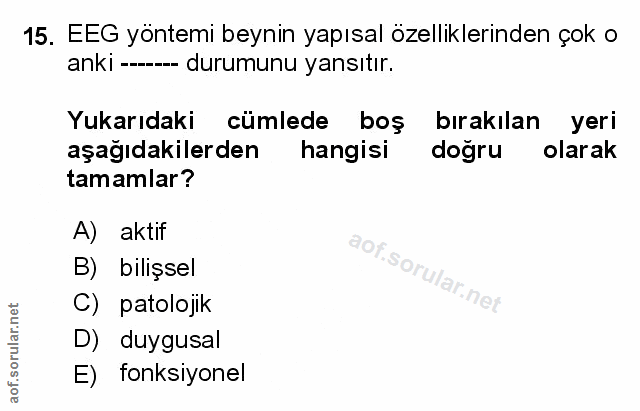 Soru 15