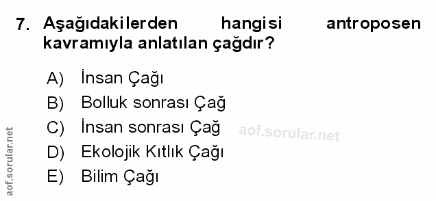 Soru 7
