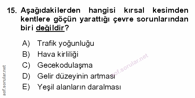 Soru 15