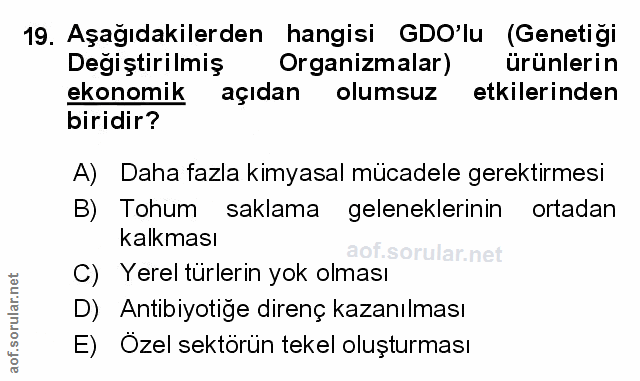 Soru 19
