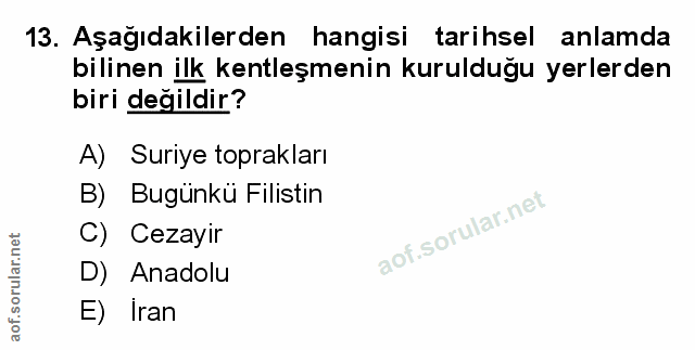 Soru 13