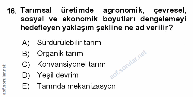 Soru 16