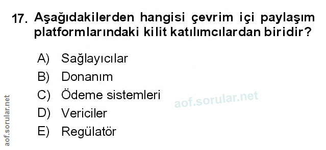 Soru 17