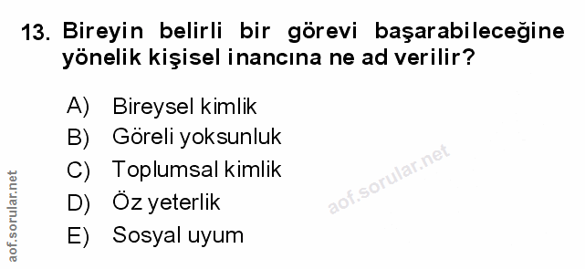 Soru 13