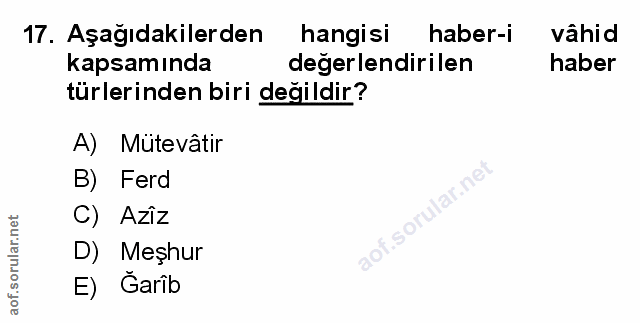 Soru 17