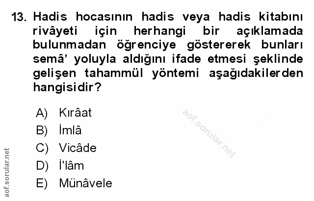 Soru 13