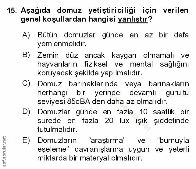 Soru 15