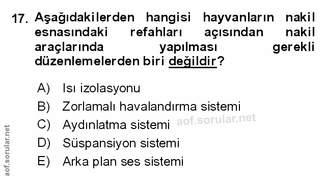 Soru 17