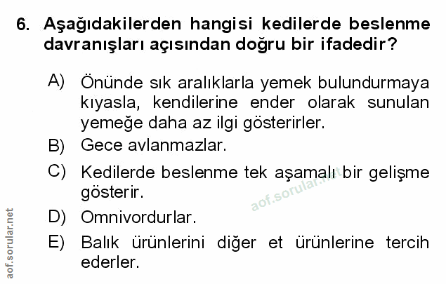 Soru 6