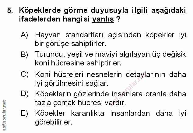 Soru 5