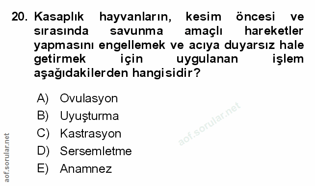 Soru 20