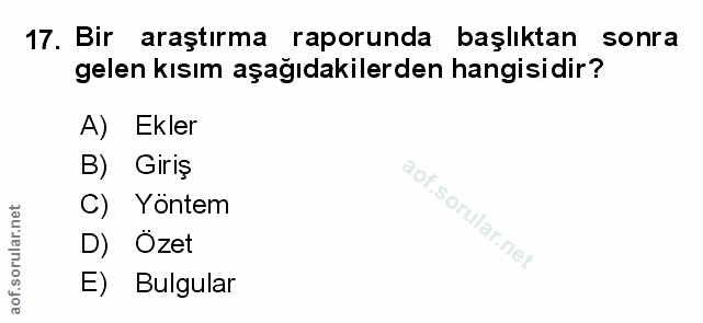 Soru 17