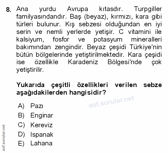 Soru 8