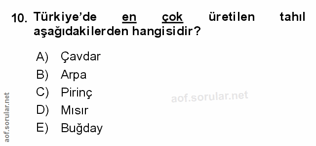 Soru 10