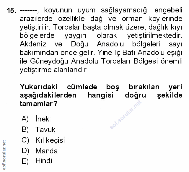Soru 15