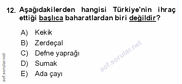 Soru 12