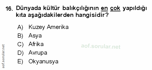 Soru 16