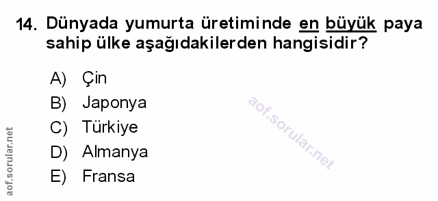 Soru 14