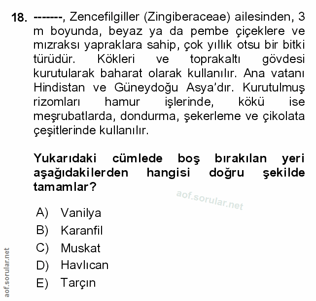 Soru 18