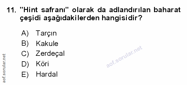 Soru 11