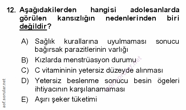 Soru 12