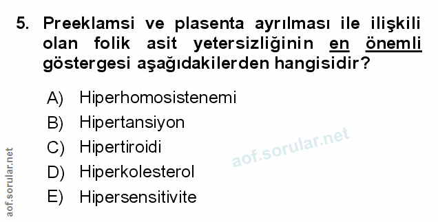 Soru 5