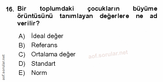 Soru 16