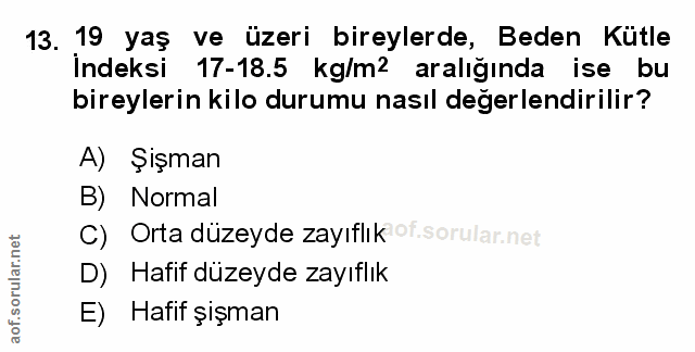 Soru 13