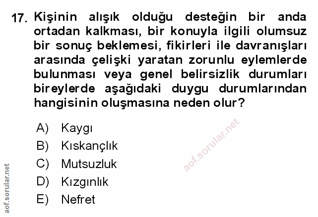 Soru 17